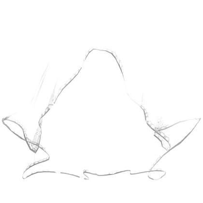 White Transparent Veil