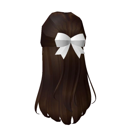 Classy Half Up Hair in Brown + Ribbon (White)