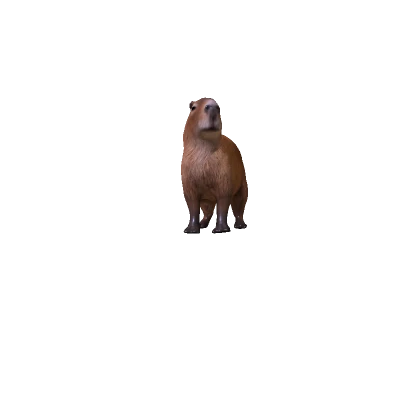 Mini Capybara