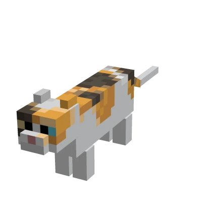 Mini Cat Suit