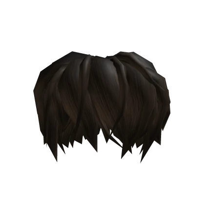 ⭐️ Dark Brown Messy Surfer Hair 🌊