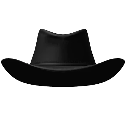 Slick Black Cowboy Hat