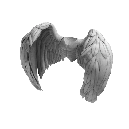 Wing Suit and Torso