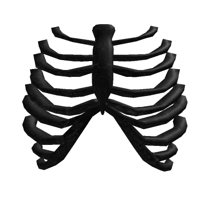 Dark Rib Cage Skeleton Bone