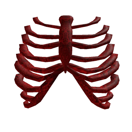 Adurite Red Rib Cage Skeleton 