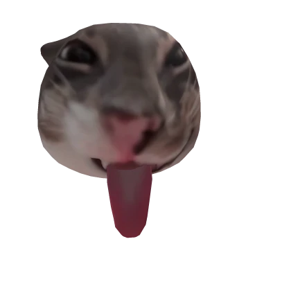 Freaky cat meme