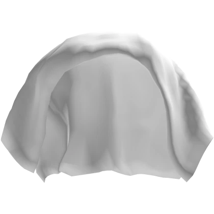 White Transparent Veil