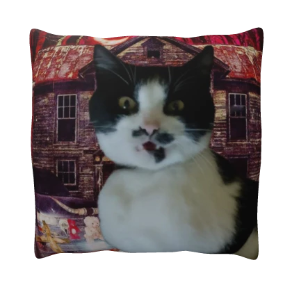 Barsik Butcher House pillow