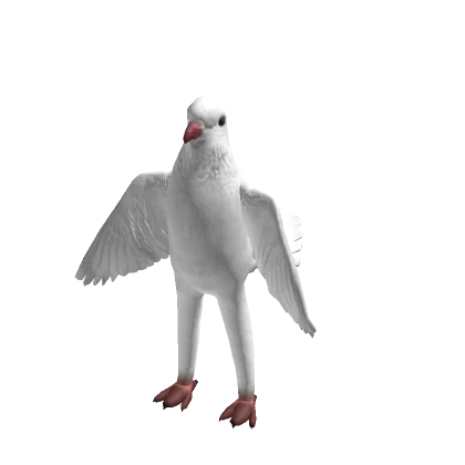 Dove Suit Realistic Bird Pigeon Costume