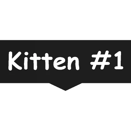 Kitten #1