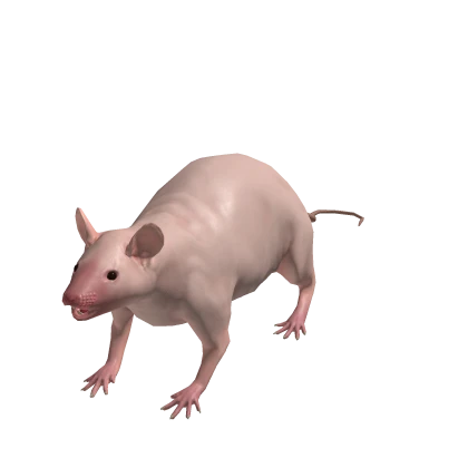 Tiny Rat Suit