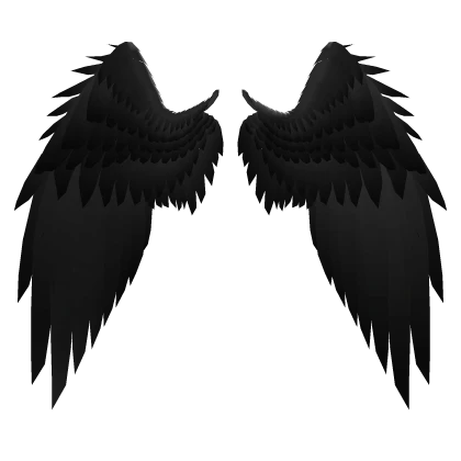 Black Angel Wings