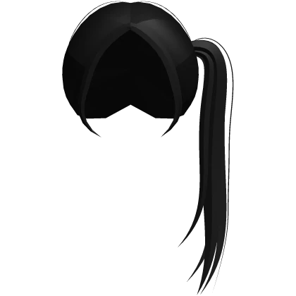 ʚ cute long side ponytail in black
