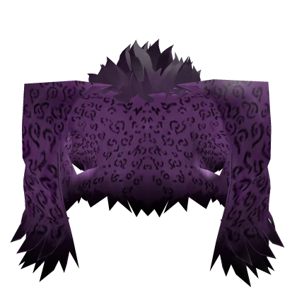 Ricardo, Big brother of the middle's Coat