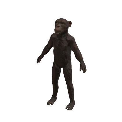 Monkey Suit Realistic Chimpanzee Costume