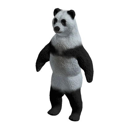 Bear Costume - Panda