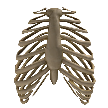 Skeleton Rib Cage 💀 Funny Troll Halloween Costume