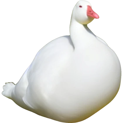 Fat Goose