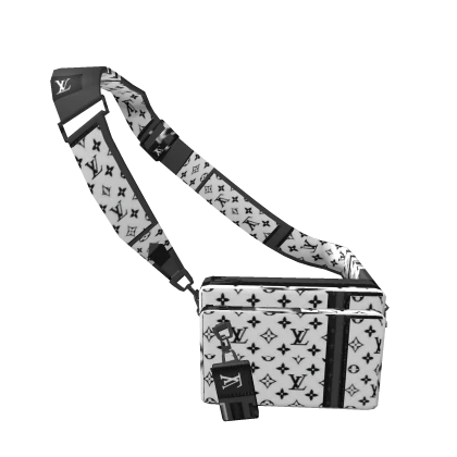 FRONT BAG white and balck LV LEVEL (10)