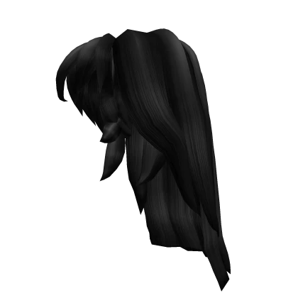 Black Long Hair