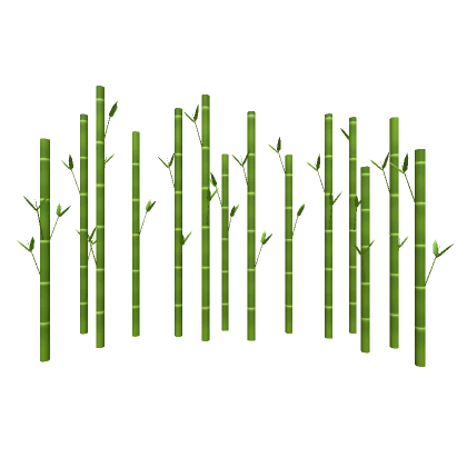 Bamboo