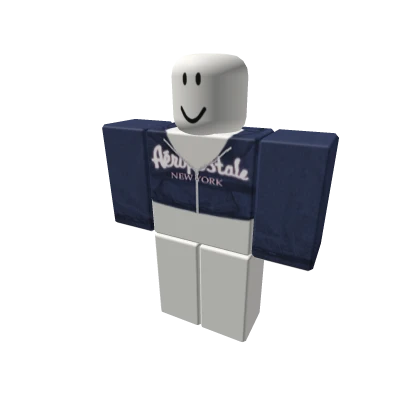 navy aeropostale zip up