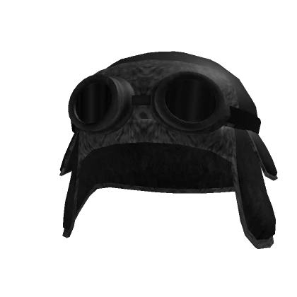 Black Winter Trapper Hat n Goggles