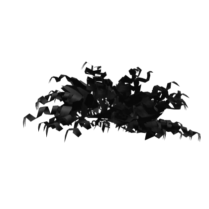 Curly Taper 2/2 [Black]