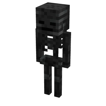 Wither Skeleton Suit