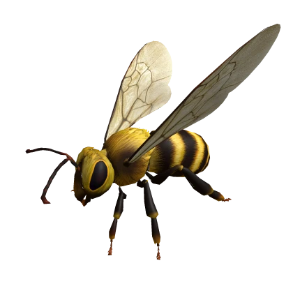 Cute Bee 🐝 Squid Game Animal Insect Bird