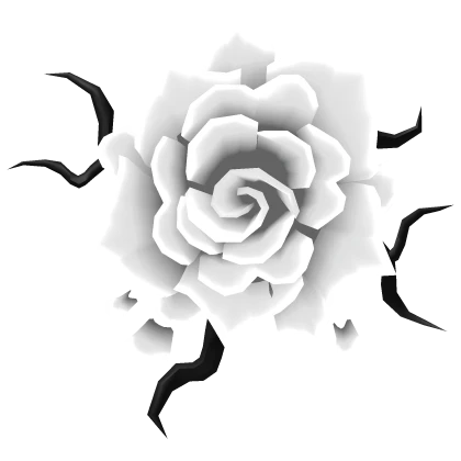 Rose Back Infection - White
