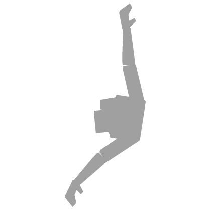 Flying Airplane