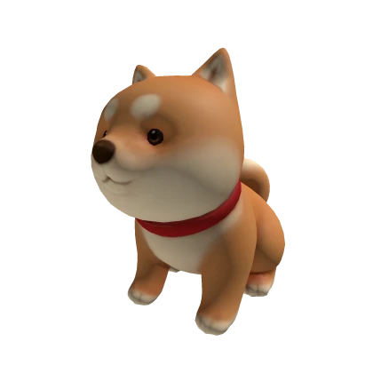 Cute Pet Shiba