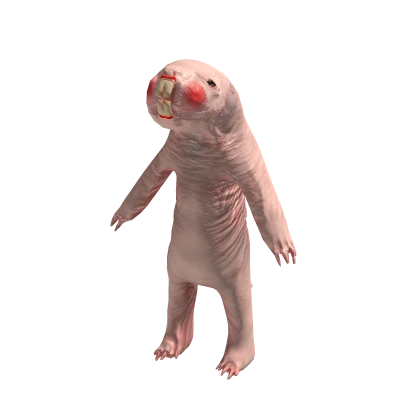 Aesthetic Mole Rat Costume Suit