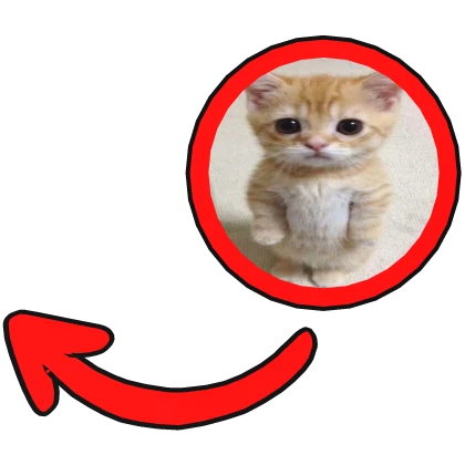 El Gato Red Pointing Meme Circle Sign