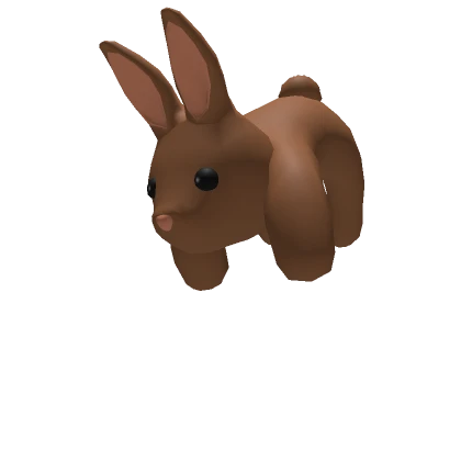 3.0 Brown Bunny