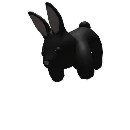 3.0 Black Bunny