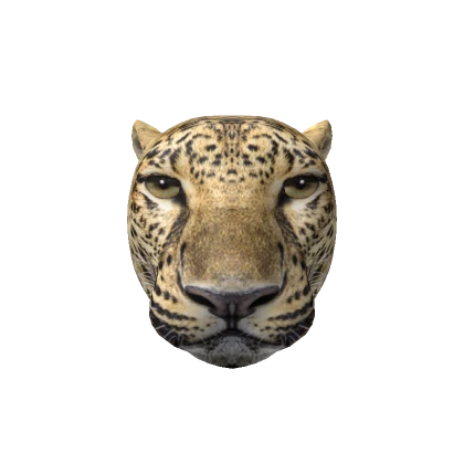 Realistic Leopard