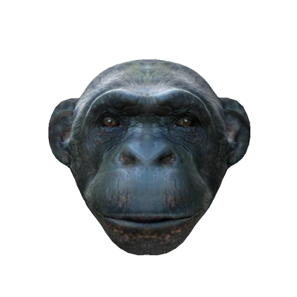 Most Realistic monkey mask