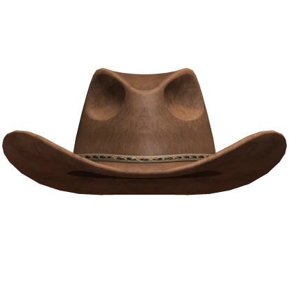 Cowboy Hat Brown Large Fancy Western Fedora Ohio