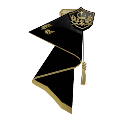 Black Royal Knight's Cape
