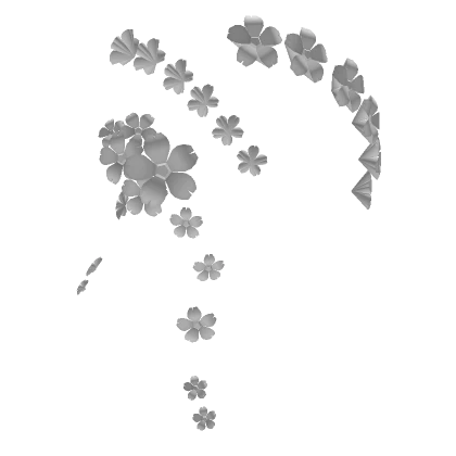 Double Dutch Cherry Blossoms in White