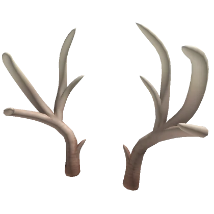 Natural WereDeer Antlers