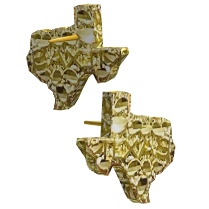 Gold Nugget Texas Earrings