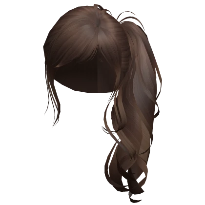 Side Ponytail Brown