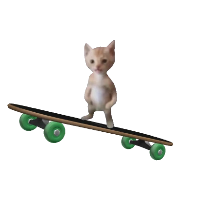 Rad Swag Cute Skater Cat