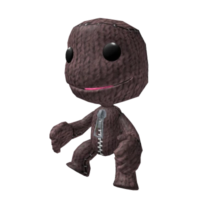 Sackboy Plush on Head
