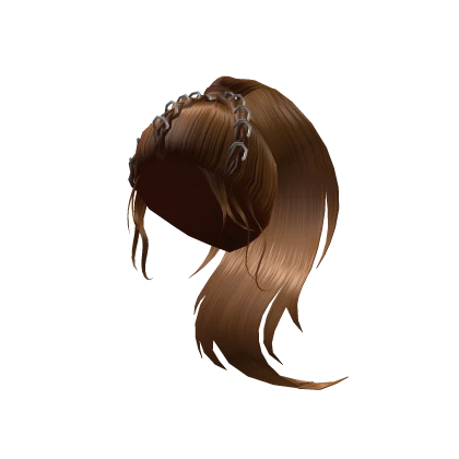 Long Ponytail With Braids - Brown