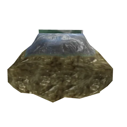 Money Bag [HAT]