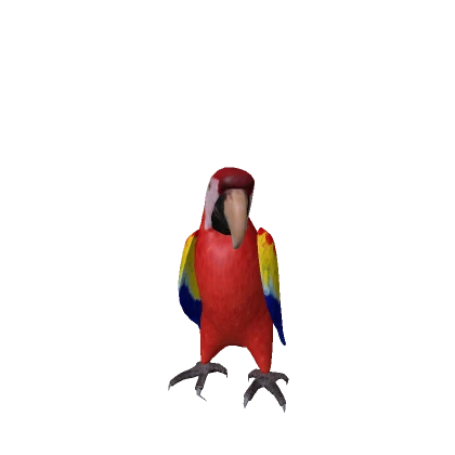 Realistic Parrot Macaw